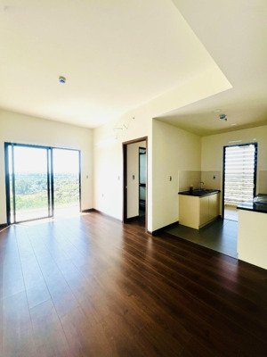 cho thuê căn hộ góc hướng sông vàm cỏ 2pn giá chỉ 4.5 triệu/tháng