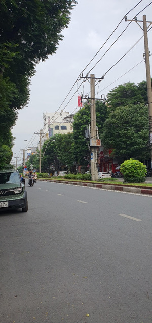 mặt tiền bàu cát đôi - nguyễn hồng đào 8m x 18m / 4 lầu giá 65 tỷ tl