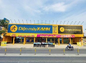 bán building mặt tiền đường khu mạc thị bưởi. dt 315m2 (9x35m), 4 tầng, tn 480tr/th. giá 160 tỷ tl