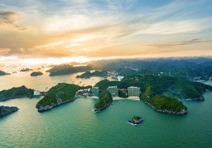 bí mật đầu tư sinh lời quanh năm tại flamingo cát bà resorts
