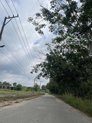 sỉ và lẻ 20 lô thanh an hồ chí minh cạnh kcn thanh an, thổ cư đường nhựa 390tr lô, shr