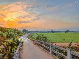 chính chủ bán đất 1366m2 tại bình hòa hưng, đức huệ, long an, giá 765 triệu vnd