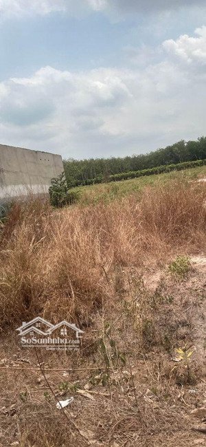 bán đất 2ha đất skc bàu bàng, bình dương