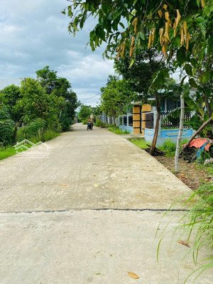 em trai định cư mỹ nhượng lại lô đất vườn đẹp như mơ ở đại hiệp