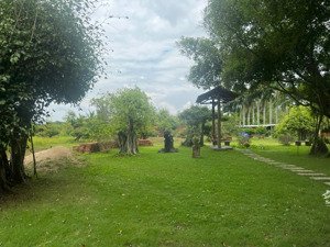 bán đất tại xã lộc hưng, trảng bàng, tây ninh, giá tốt 17,1 tỷ, 4762 m2