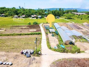 đất trồng cây hằng năm 3 mặt kiệt đẹp thoáng, 375m2 xã hòa phong.