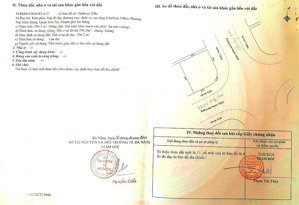 tôi là chủ cho thuê 2 mặt tiền chu huy mân, nguyễn đình hoàn, 30 triệu, 300m2 có thương lượng,
