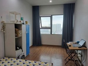 cho thuê chung cư 2pn - 3pn gamuda, hoàng mai, hà nội