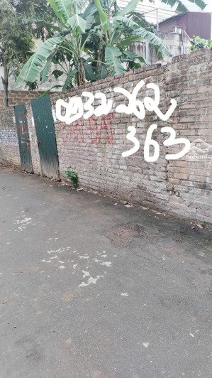 mảnh đất vàng giá đầu tư, phú thượng,tây hồ, dt: 130m2, cách 1 nhà ra phố, ô tô, k/d đa ngành.lotte