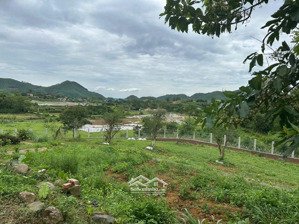 bán lô đất tại tiến xuân ,thạch thất, 9600m2,có 800 thổ cư lh 