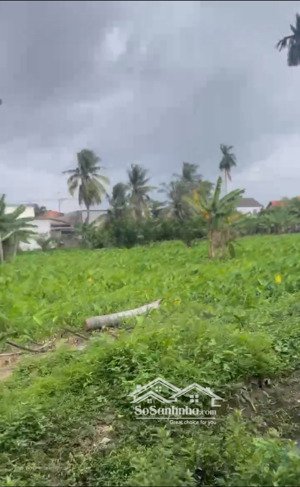 cho thuê 6000m² đất tại bình mỹ, củ chi. giá thương lượng, hợp đồng lâu dài