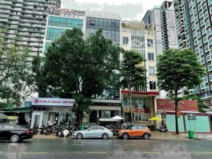 siêu hiếm! bán nhà 2mt 28a tôn thất tùng, bến thành, q. 1 - 5x20m, 4 tầng, hđt 60tr/th - 28 tỷ