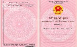 Nhà 4Tầng Đường Nguyễn Đình Tứ- Ngay Đoạn Đầu Kinh Doanh -Gần Bến Xe-Gía 8,7Tỷ