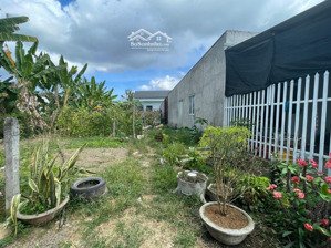 đất rẽ chính chủ. bán đất tại xã diên toàn, 1,3 tỷ, 124,2m2 giá tốt bao đẹp.