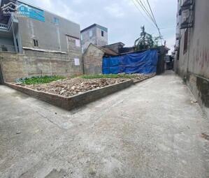 BÁN GẤP LÔ ĐẤT 51M² VÂN ĐIỀM, THỤY LÂM – VỊ TRÍ VÀNG ĐẦU TƯ - GIÁ RẺ