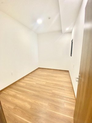 chung cư q7 căn 2pn diện tích 67m2 nội thất cơ bản
