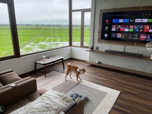 villa 203m2 chuẩn nhật - view cánh đồng lúa, thôn phong nam, hoà châu, đà nẵng