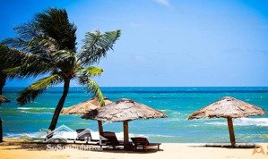 cơ hội vàng sở hữu 3 lô liền kề mt đỗ bá hướng nam