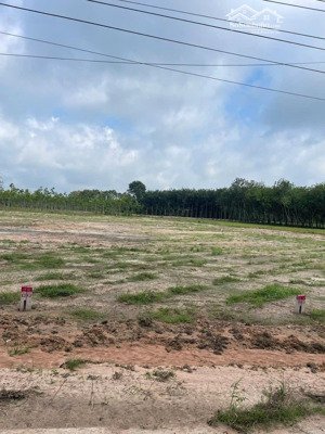 an lập 225m2 có 100tc đường nhựa giá rẻ 535tr dân đông, sổ riêng chốt nhanh ạ