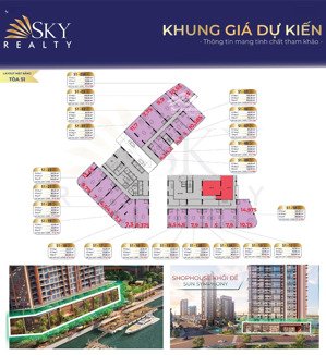 hot! sun group chính thức ra mắt 55 sản phẩm shop khối đế thương mại dự án sun symphony residence