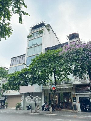 building trần thái tông 125m - 9 tầng + hầm - mặt tiền 8m - cạnh phố lớn - đầu tư dòng tiền đỉnh.