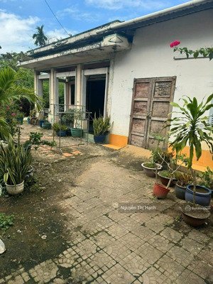 bán gấp nhà cấp 4 do ngợp ngân hàng, diện tích lớn tại phường long bình, quận 9