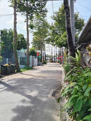 Bán 5x38m đất đường Trần Văn Hiển,phường 10,Mỹ Tho,Tiền Giang. (Nay là phường Trung An,tỉnh Đồng Tháp.