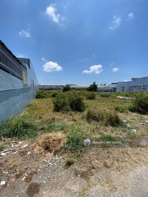 tôi cần bán lô đất diện tích 100m2 xã tân lân, huyện cần cước, sổ hồng riêng giá 580 triệu