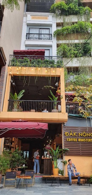 bán nhà mặt phố trần đại nghĩa, dt 42 m2, 2 mặt tiền kd, ở & kd luôn!