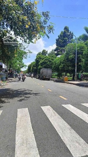 bán gấp khách sạn 20 phòng mặt tiền đường t1, gần lê trọng tấn - cơ hội vàng chỉ 19 tỷ (còn tl)!