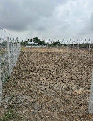 xả gấp lô đất 100m2/520tr tại dt826, xã long trạch kế ubnd huyện đất thổ cư sẵn, shr