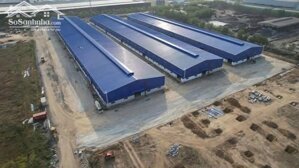 Cho thuê xưởng 9,800m2 KCN Phú Mỹ 1, Phú Mỹ, BRVT, kho xưởng gần cảng Cái Mép Thị Vải