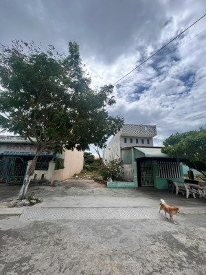 chính chủ bán nhanh đất nền view sông - khe đá nhơn hội.