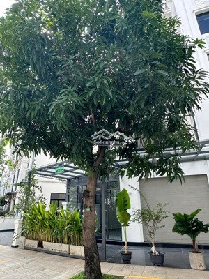 giá bán nhanh nhà phố 126m2 21.5 tỷ đã có sổ vị trí đẹp tại vinhome grand park