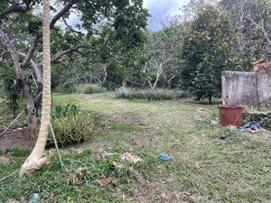 bán đất mặt tiền quốc lộ 13, vuông vức, mặt tiền nhiều