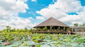 bán 4 nền khu a/b/c tại dự án kđt làng sen việt nam - vị trí đẹp - giá đầu tư và dễ dàng an cư