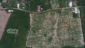 bán 4 ha đất tại long tân, dầu tiếng, bình dương, lh: 