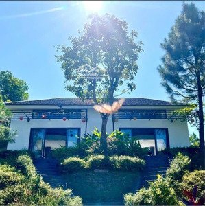 bán biệt thự nghỉ dưỡng 400 m2 full đồ tại yên bài, ba vì giá chỉ nhỉnh 5 tỷ, diện tích 400 m2