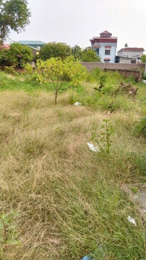 cự khối, long biên ô tô đỗ cửa. dt 53 m2, mt 4m đường trước đất 4m chỉ với 2,5 tỷ