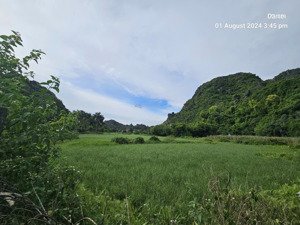 cho thuê trang trại, khu du lịch sinh thái
