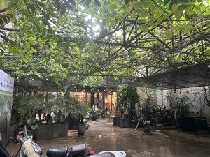 cho thuê biệt thự sân vườn linh lang - ba đình.
diện tích 200m2 3 tầng giá 70tr/th (kd mọi mô hình)