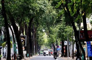 siêu khách sạn - mặt tiền 9m - mặt phố lò đúc - 68 phòng - 12 tỷ/ năm - giá siêu mềm