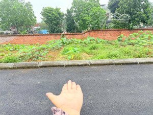 chủ cần tiền bán gấp - giá đẹp nhất khu