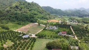 sẵn sổ từng giá chỉ 2xx triệu cho 1 mảnh đất tại xã lạc lương, yên thuỷ, hoà bình