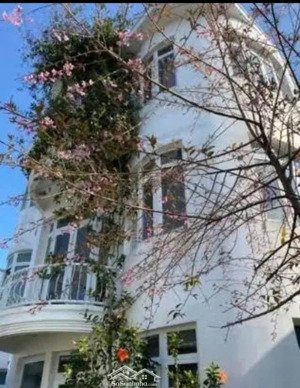 cho thuê villa - biệt thự cổ sân vườn 180m2 phường 9 đà lạt 20 triệu/tháng cách hồ xuân hương 1,5km