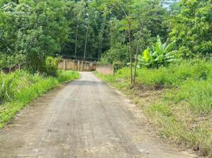 BÁN LÔ ĐẤT SIÊU ĐẸP – P. ĐỒNG TIẾN CŨ