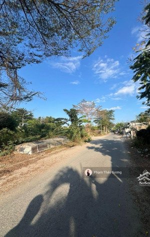 bán nhanh nền đất 449m2 khu thời báo kinh tế - bưng ông thoàn, phú hữu, quận 9 - chỉ 39 triệu/m2