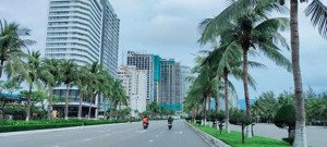 bán đất mt lâm hoành, phước mỹ, sơn trà, đà nẵng gần ngay biển mỹ khê - diện tích: 7.2x29=232m2.