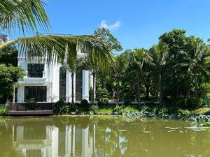 chính chủ gửi bán biệt thự đảo ecopark grand - the island, diện tích 500m2, giá tốt