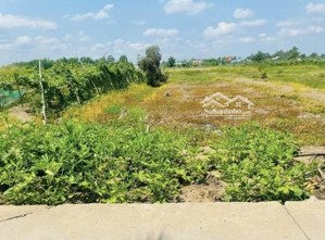 bán 1067,5m2 đất đường t11, tân qúy tây, bình chánh, hồ chí minh, dt 29,56 x 39,24m, 4.5 tỷ